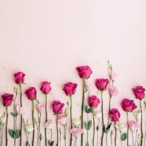 Meet your Posher, Marlene